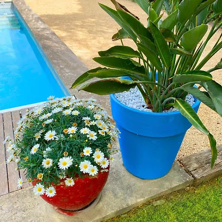 Holiday home Grande Maison, 5 Chambres, Piscine A 5 Min D'arles